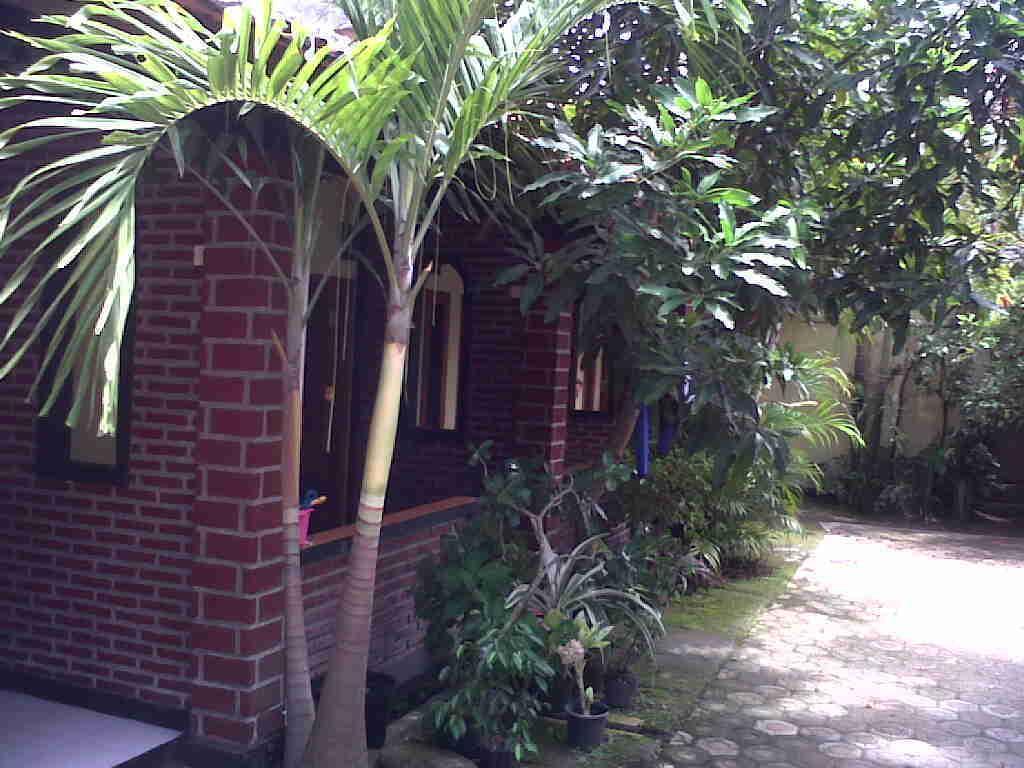 Rinjani Homestay Pangandaran Exterior foto
